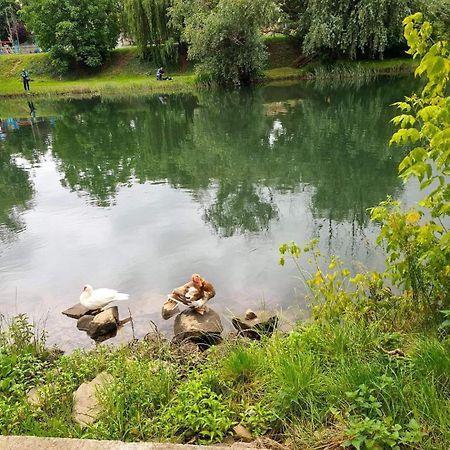 Laci Lak Premium Apartment Oradea Dış mekan fotoğraf