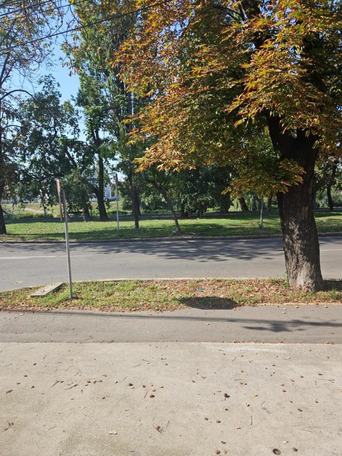Laci Lak Premium Apartment Oradea Dış mekan fotoğraf