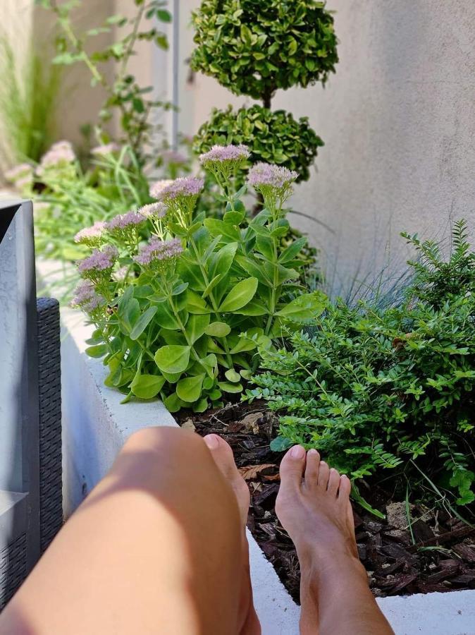 Laci Lak Premium Apartment Oradea Dış mekan fotoğraf